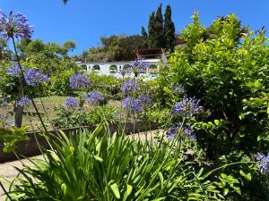 Finca Los Arcos del Laurel - Back to Nature