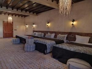 Camels house apartment