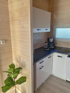 1 nowy domek na wyłączność z Jakuzzi Psy mile widziane Rewalia Relax