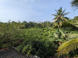 Villa 505 Induruwa