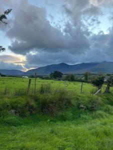 Crios Óg Brandon View