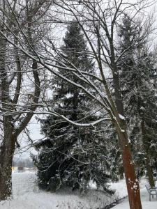 APARTMÁNOVÝ DOM U IVKY Bešeňová štúdiá