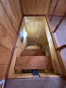 Estudio pareado de madera en Valdivia