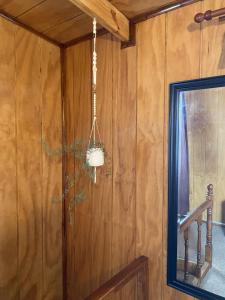 Estudio pareado de madera en Valdivia