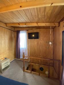 Estudio pareado de madera en Valdivia