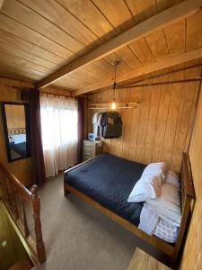 Estudio pareado de madera en Valdivia