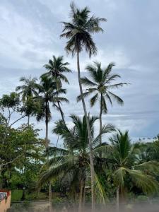 Tangalle Bay Beach Villa