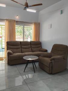 V Land Homestay