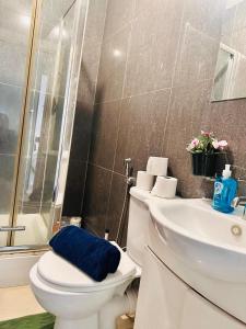 Comfortable Apartment in Hammersmith near Heathrow and Central London links