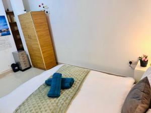 Comfortable Apartment in Hammersmith near Heathrow and Central London links