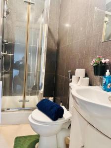 3 Bedroom Apartment in Hamersmith near Heathrow