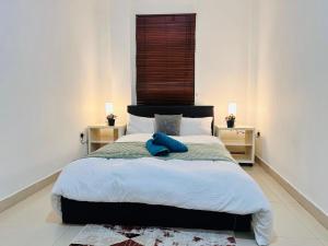 Comfortable Apartment in Hammersmith near Heathrow and Central London links