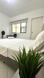 Casa Estadio laureles