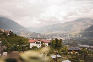 Stein unter Lebenberg NEW 2026