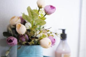 Departamento estilo cabaña en Caldera