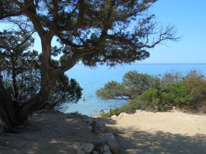 Villa Graziosa img74