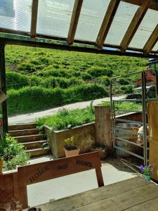 Ferienwohnung am Belchen