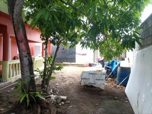 Cabeza De Toro, Locales