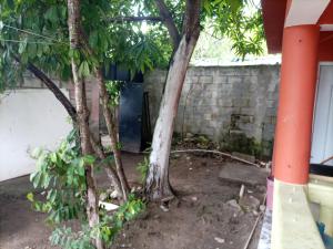 Cabeza De Toro, Locales