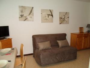 Appartement cosy avec terrasse et animaux admis à Balaruc-les-Bains - FR-1-503-38