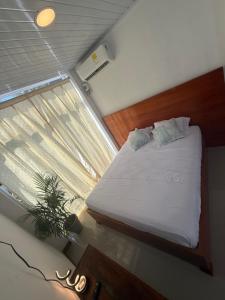 Suite Privada Deluxe Maleiwa- Palomino