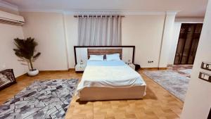 7-Star Nile View Apartment