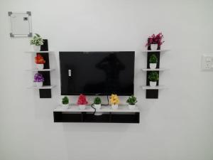 EVA Residency