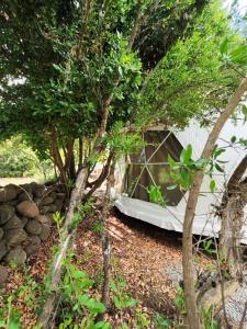 Refugio Silvestre Parque Nacional Siete Tazas-Salida a río y pesca