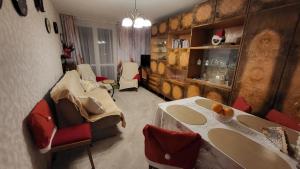 Apartament u Zegarmistrza z garażem