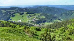 Apartment Petris - Family&Friends - Donovaly View