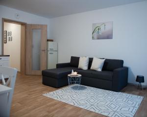 Apartmán Sněženka