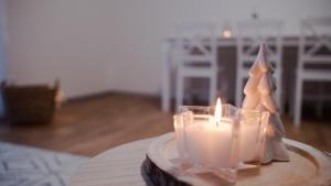 Apartmán Sněženka