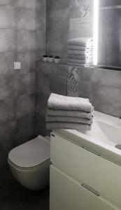 Apartmán Sněženka