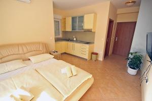 Villa Astra & Pinija