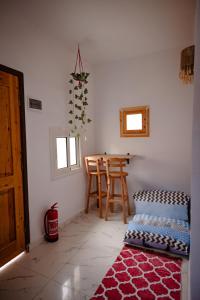 The Palm Circle - Studio 1