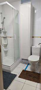 3 Bed Bedroom Apartment near Dundrum-Sandyford