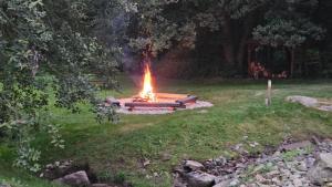 Apartmán Sněženka