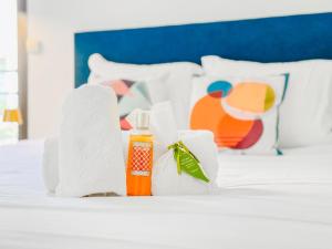 Terranova Cannes Terrace Accommodation