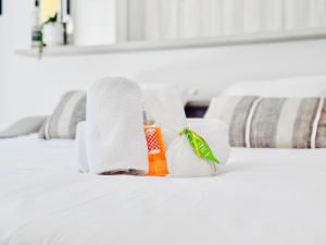 Terranova Cannes Terrace Accommodation