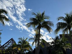 Vidanta Riviera Maya