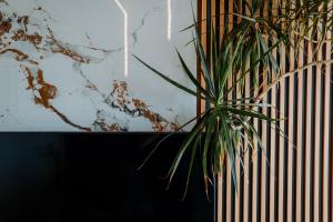 Family apartment in Concón near dunes and beach