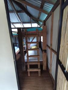 Drake Bay Volunteers