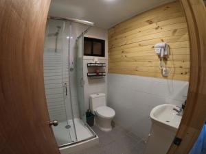 BordeArroyo Malalcahuello