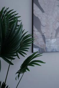 Luxe apartment & unmatched Darling Harbour views