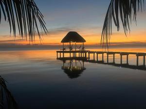 Coral Palms Beach House