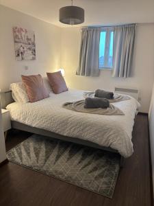 Charming apartment near NEC and Birmingham Airport