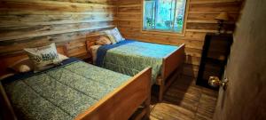 ENTRE PINOS Y LUCEROS ACOGEDORA CABAÑA RÚSTICA