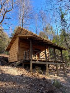 Aventura mágica! Cabañas del bosque con ribera