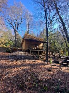 Aventura mágica! Cabañas del bosque con ribera