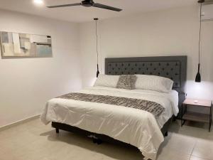 Villa with Pool Steps from the Malecón & Historic